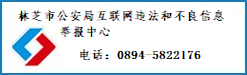 违法举报